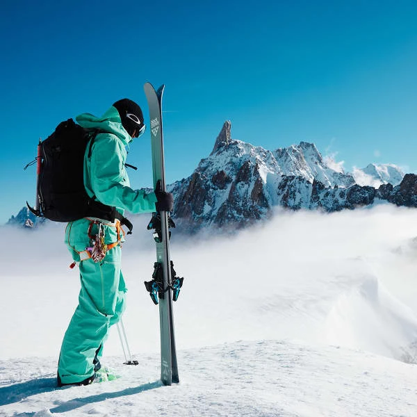 BLACK CROWS FEROX FREEBIRD 22 - Afbeelding 4