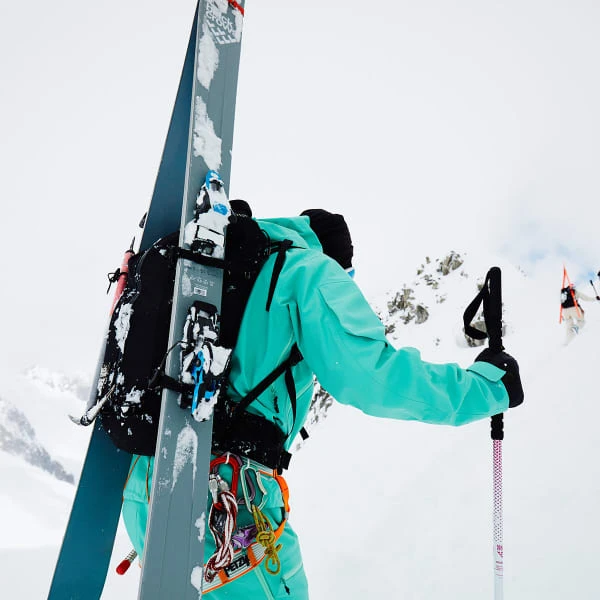 BLACK CROWS FEROX FREEBIRD 22 - Afbeelding 6